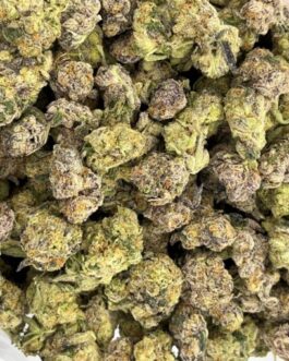 Gangsta Boo Strain
