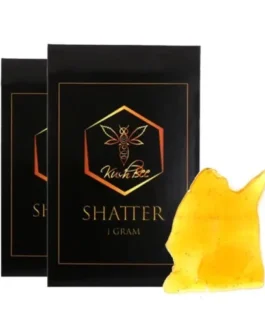 Kushbee Shatter 1G