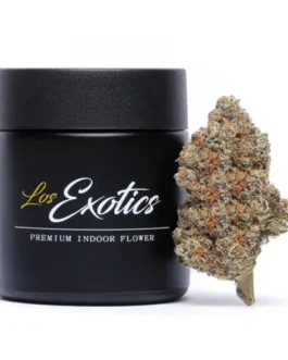 Blue Cherry Gelato Strain