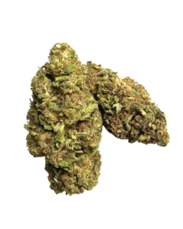 Blueberry Pie