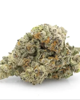 White Cherry Gelato