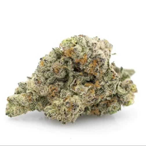 White Cherry Gelato