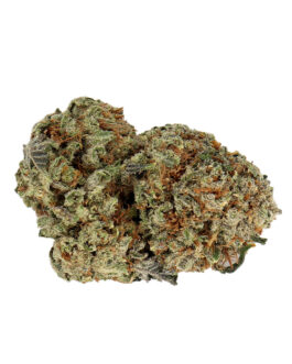 Angel Cake Strain