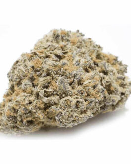 Alien Kush Strain