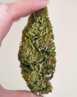 Hawaiian Haze Strain Hemp Flower
