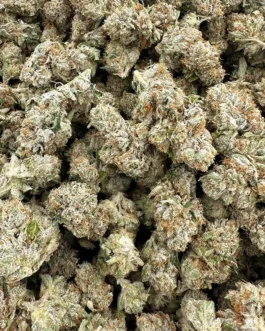 Diablo OG