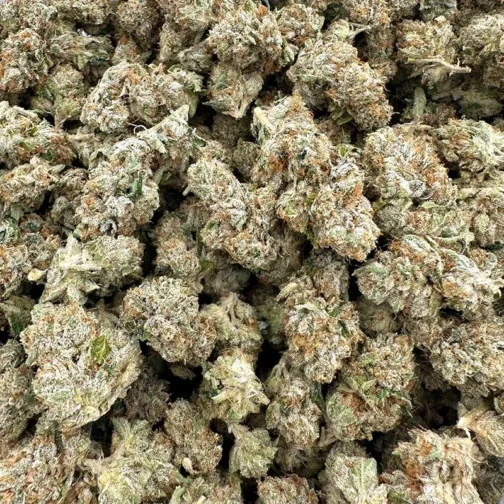 Diablo OG