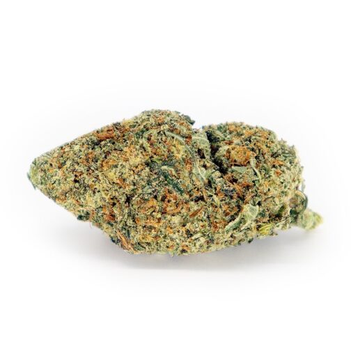 Jet Fuel OG Strain