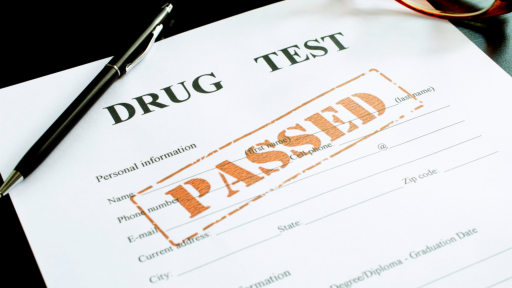 How to Detox from Cannabis for a Drug Test