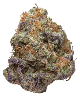 PURPLE OG KUSH