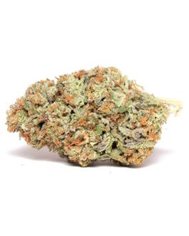 Bubble Gum Strain