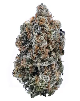 Garlic Breath Strain