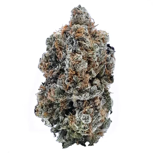 Garlic Breath Strain