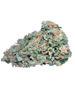 Whitewalker OG