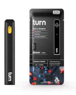 TURN DISPOSABLE | Berry Dreamy (Indica) – 1Gram