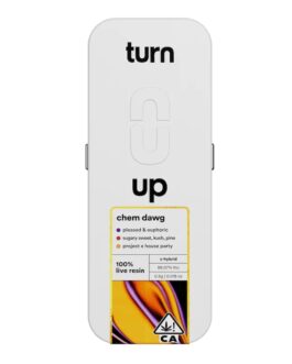 TURN DISPOSABLE | Chemdawg 91 .5g Live Resin