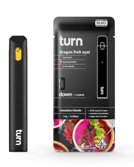 TURN DISPOSABLE | Dragon Fruit Strain Açaí (i-hybrid) – 1Gram