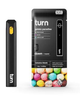 TURN DISPOSABLE | Gelato Paradiso Strain(i-hybrid) – 1Gram