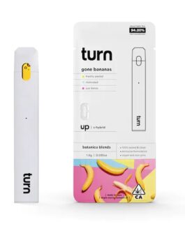 TURN DISPOSABLE | Gone Bananas – 1G (s-hybrid)