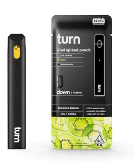 TURN DISPOSABLE | Kiwi Spiked Punch (i-hybrid) – 1Gram