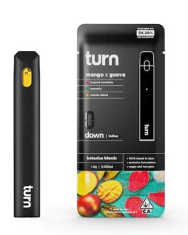 TURN DISPOSABLE | Mango x Guava (indica) – 1Gram