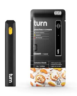 TURN DISPOSABLE | Peaches n Cream (i-hybrid) – 1GRAM