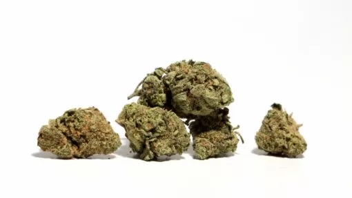 Muha Meds Bored Ape Runtz Flower| Indica - Image 2