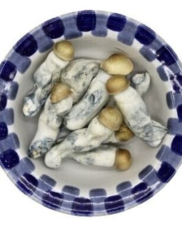 Lyophilized Penis Envy Magic Mushrooms