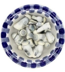 Lyophilized Albino Penis Envy Magic Mushrooms