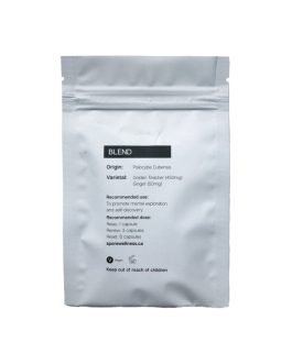 Spore Wellness (Reset) Macrodosing Mushroom Capsules