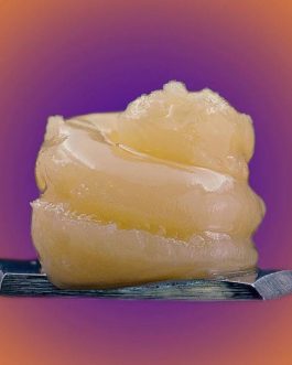 Live budder Papaya Punch (Papaya punch x purple Punch)